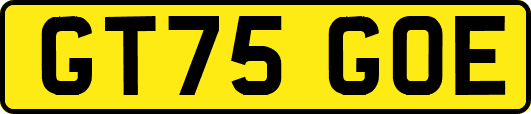 GT75GOE