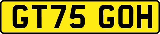 GT75GOH