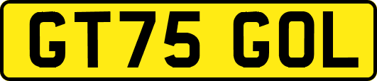 GT75GOL