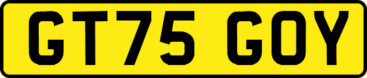GT75GOY