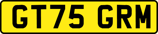 GT75GRM