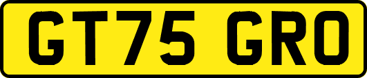 GT75GRO