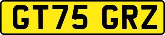 GT75GRZ