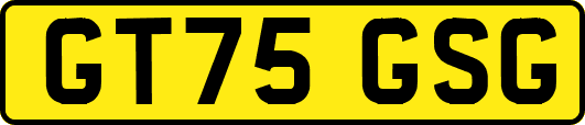 GT75GSG