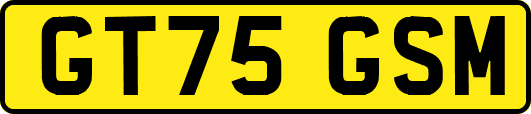 GT75GSM