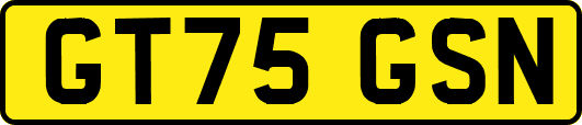 GT75GSN