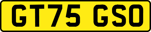 GT75GSO