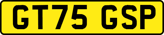 GT75GSP