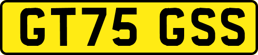 GT75GSS