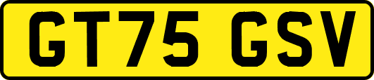 GT75GSV