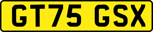 GT75GSX