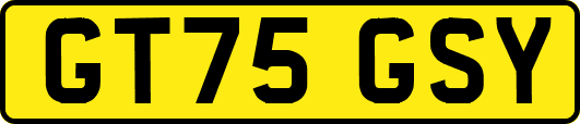 GT75GSY