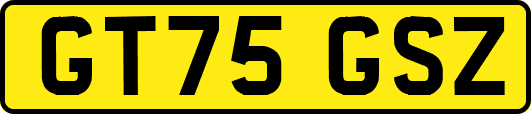 GT75GSZ
