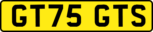 GT75GTS