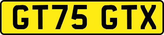 GT75GTX