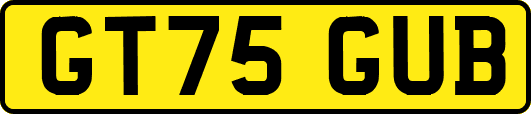 GT75GUB