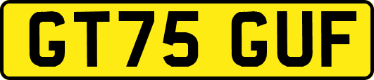 GT75GUF