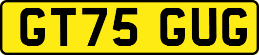 GT75GUG