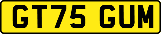 GT75GUM