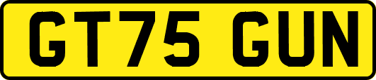 GT75GUN