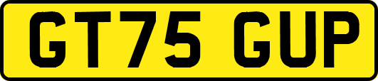 GT75GUP
