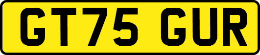 GT75GUR