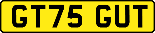 GT75GUT