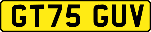 GT75GUV