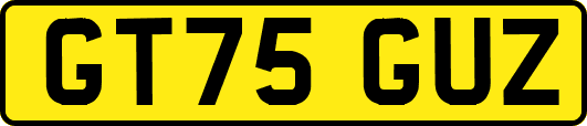 GT75GUZ