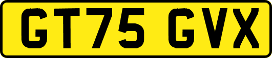 GT75GVX