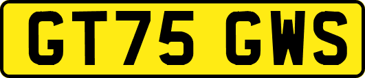 GT75GWS