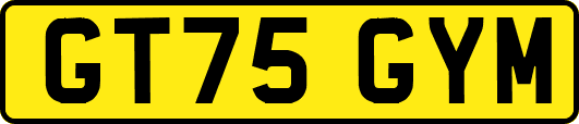 GT75GYM