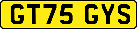 GT75GYS