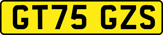 GT75GZS