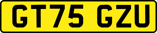 GT75GZU