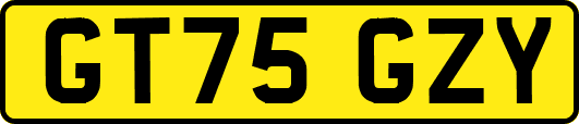GT75GZY