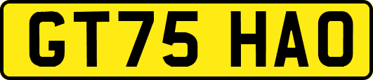 GT75HAO