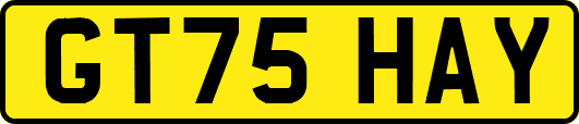 GT75HAY