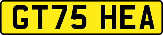 GT75HEA