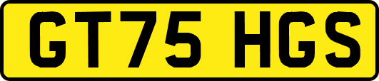 GT75HGS
