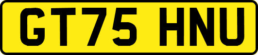 GT75HNU