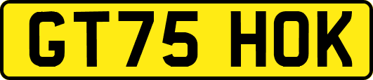 GT75HOK