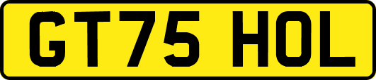 GT75HOL