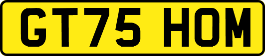 GT75HOM