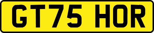GT75HOR