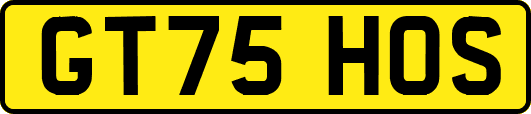 GT75HOS