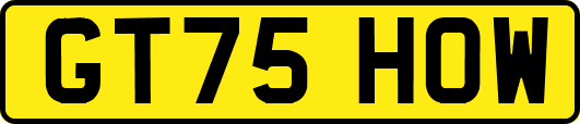GT75HOW