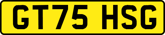 GT75HSG