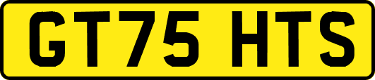 GT75HTS