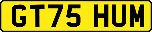 GT75HUM